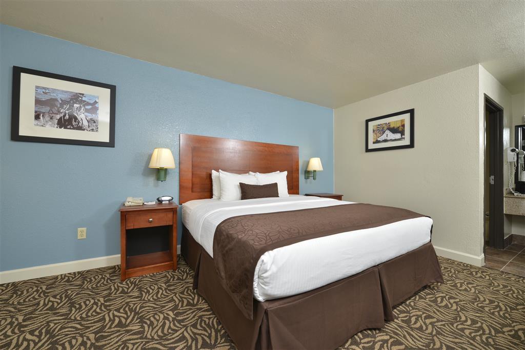 Best Western Regency Inn & Suites Gonzales Pokój zdjęcie